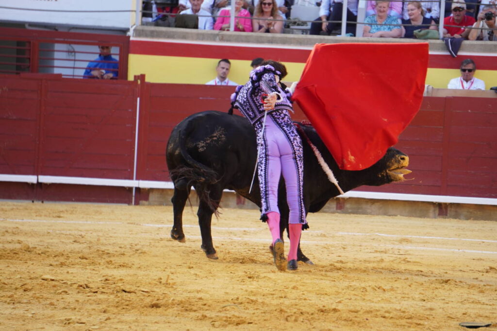 Corrida 2 de septiembre San Antolín 2025 - Fotos Sergio Lozano