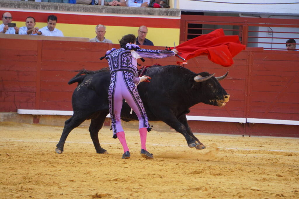 Corrida 2 de septiembre San Antolín 2025 - Fotos Sergio Lozano