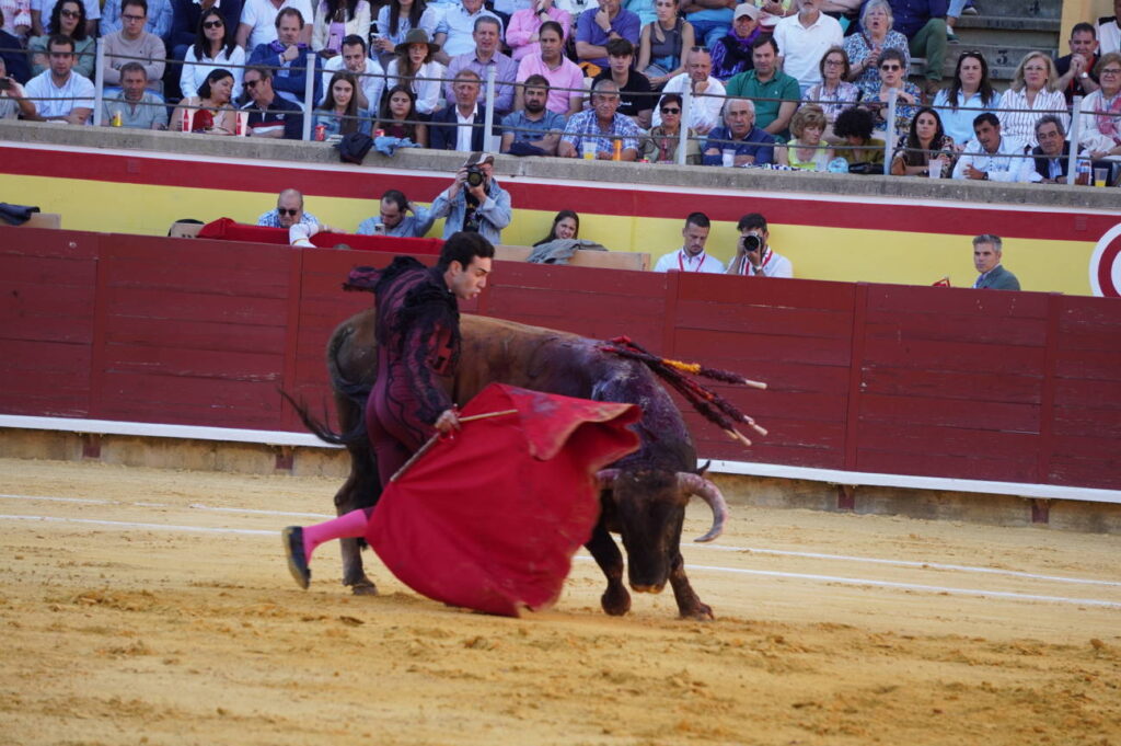 Corrida 2 de septiembre San Antolín 2025 - Fotos Sergio Lozano