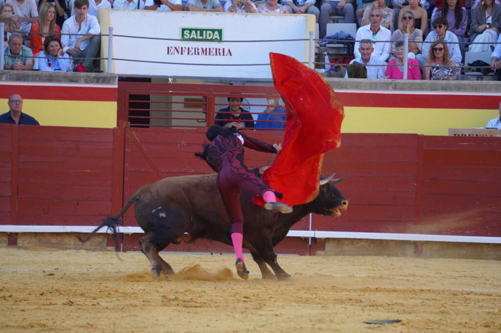 Corrida 2 de septiembre San Antolín 2025 - Fotos Sergio Lozano