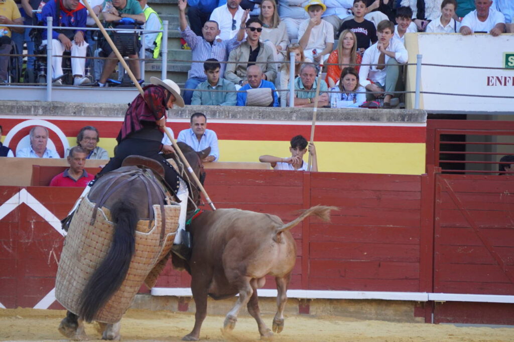 Corrida 2 de septiembre San Antolín 2025 - Fotos Sergio Lozano
