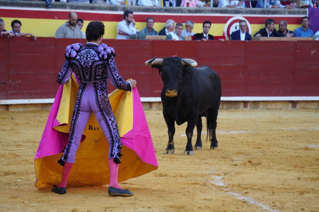 Corrida 2 de septiembre San Antolín 2025 - Fotos Sergio Lozano