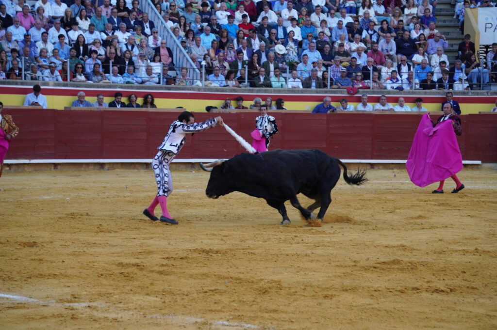 Corrida 2 de septiembre San Antolín 2025 - Fotos Sergio Lozano