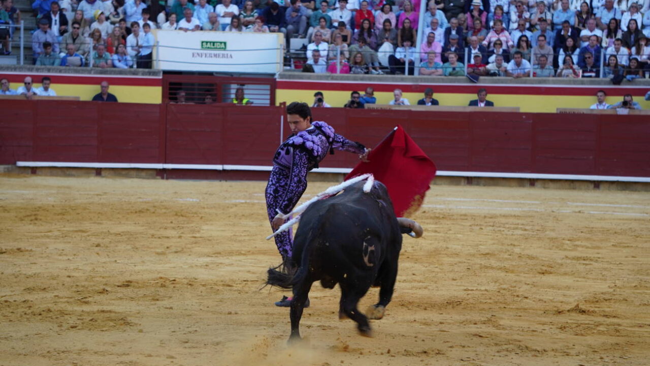 Corrida 2 de septiembre San Antolín 2025 - Fotos Sergio Lozano