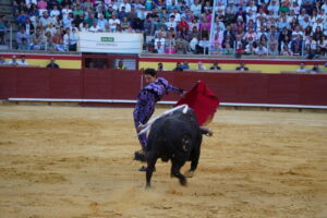 Corrida 2 de septiembre San Antolín 2025 - Fotos Sergio Lozano