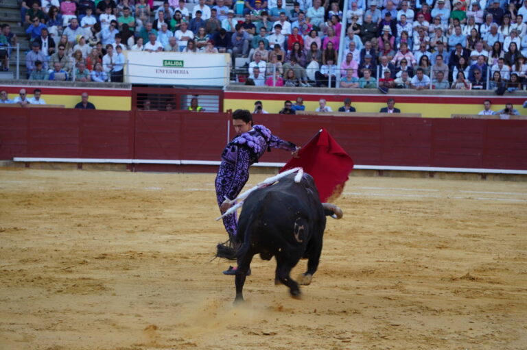 Corrida 2 de septiembre San Antolín 2025 - Fotos Sergio Lozano