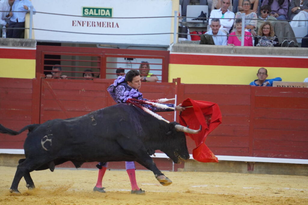 Corrida 2 de septiembre San Antolín 2025 - Fotos Sergio Lozano