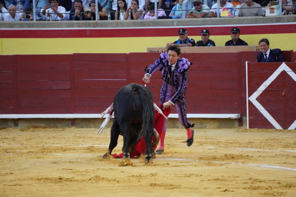 Corrida 2 de septiembre San Antolín 2025 - Fotos Sergio Lozano