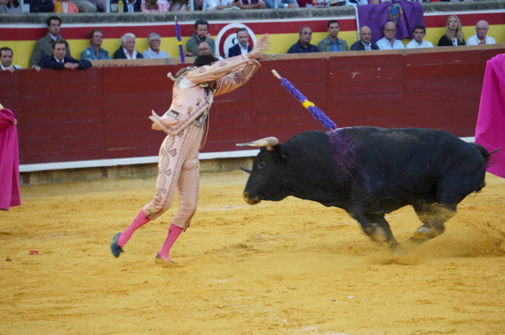 Corrida 2 de septiembre San Antolín 2025 - Fotos Sergio Lozano