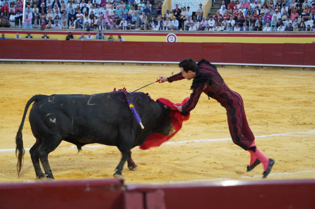 Corrida 2 de septiembre San Antolín 2025 - Fotos Sergio Lozano