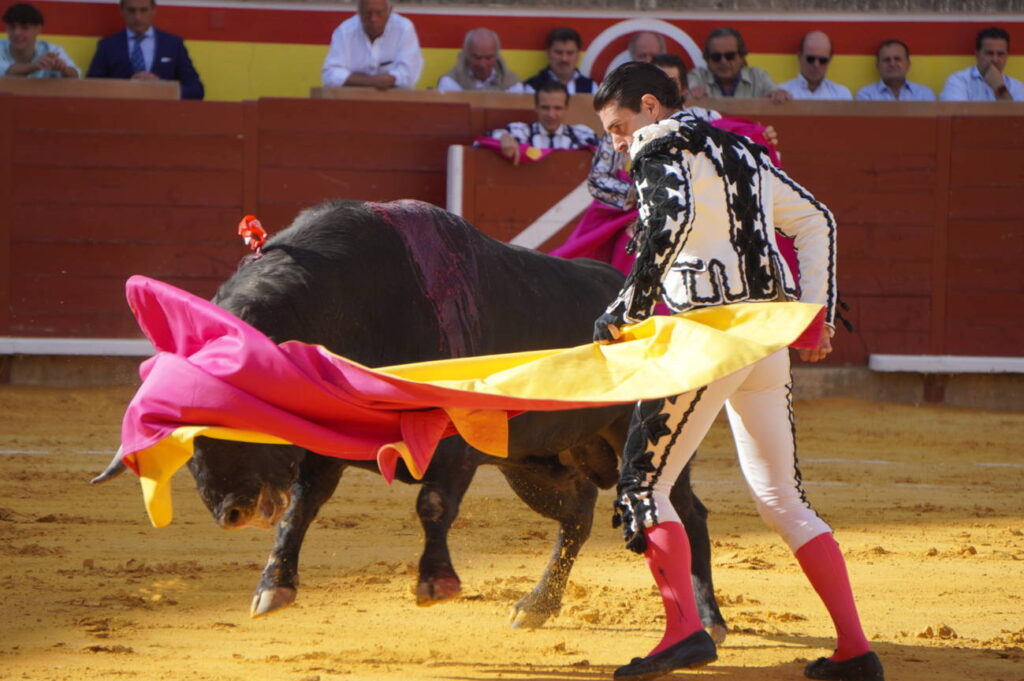 Corrida 2 de septiembre San Antolín 2025 - Fotos Sergio Lozano
