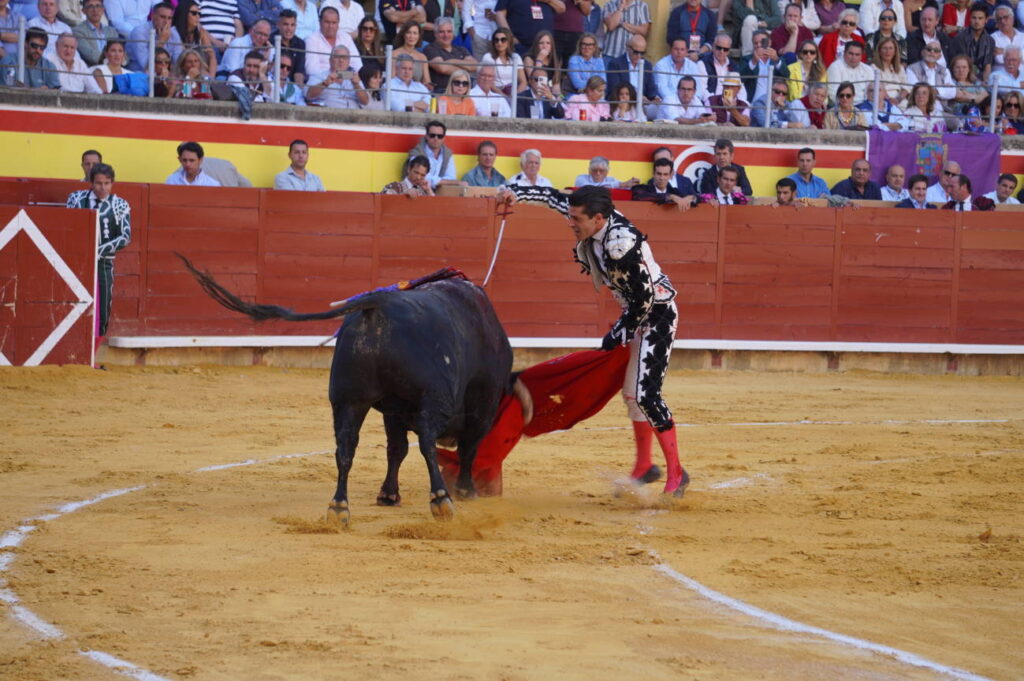 Corrida 2 de septiembre San Antolín 2025 - Fotos Sergio Lozano