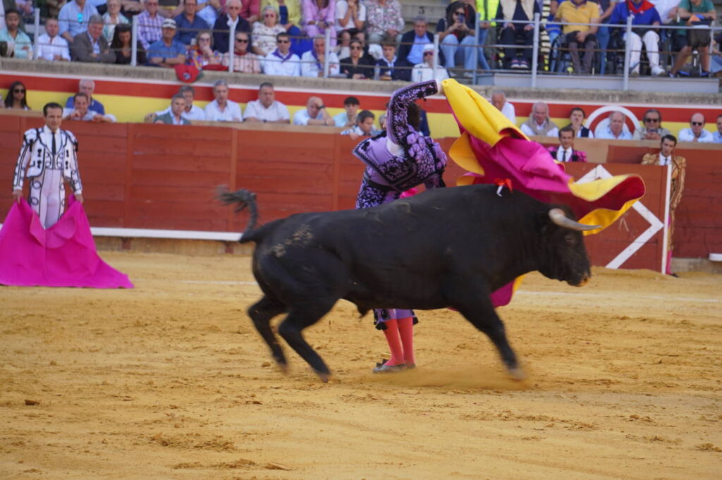 Corrida 2 de septiembre San Antolín 2025 - Fotos Sergio Lozano