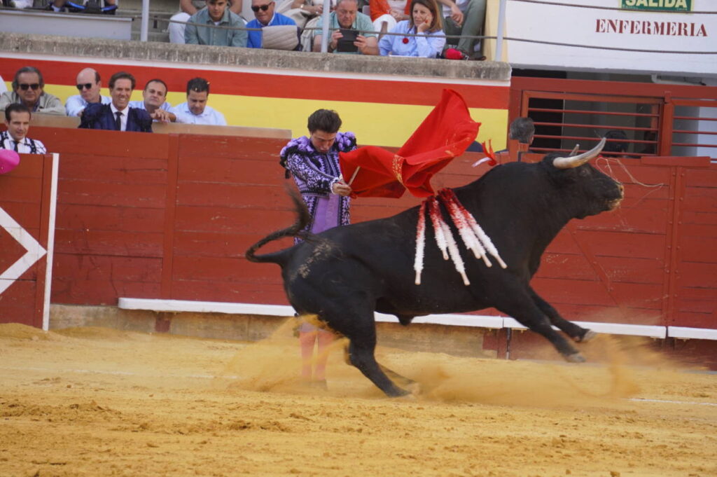Corrida 2 de septiembre San Antolín 2025 - Fotos Sergio Lozano