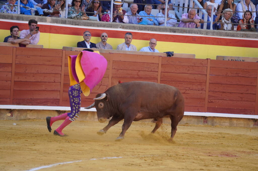 Corrida de Toros Lunes 1 de septiembre - San Antolín 2025. Fotos Sergio Lozano