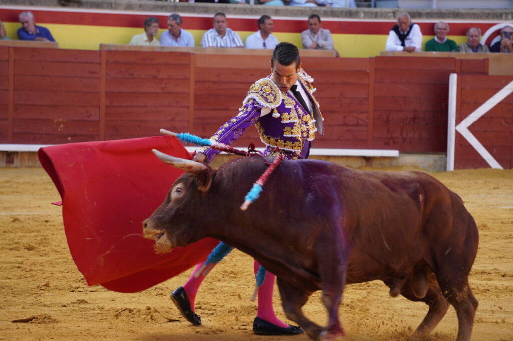 Corrida de Toros Lunes 1 de septiembre - San Antolín 2025. Fotos Sergio Lozano