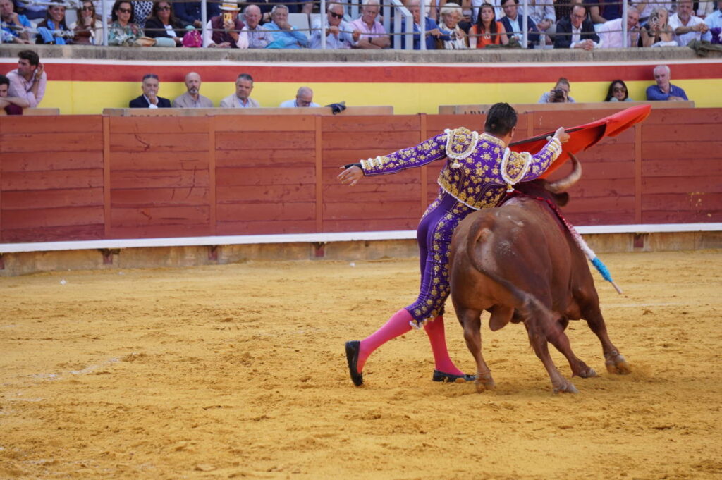 Corrida de Toros Lunes 1 de septiembre - San Antolín 2025. Fotos Sergio Lozano