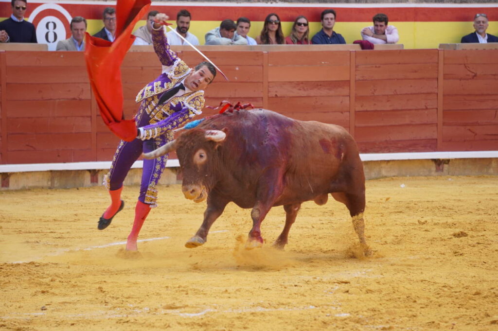 Corrida de Toros Lunes 1 de septiembre - San Antolín 2025. Fotos Sergio Lozano