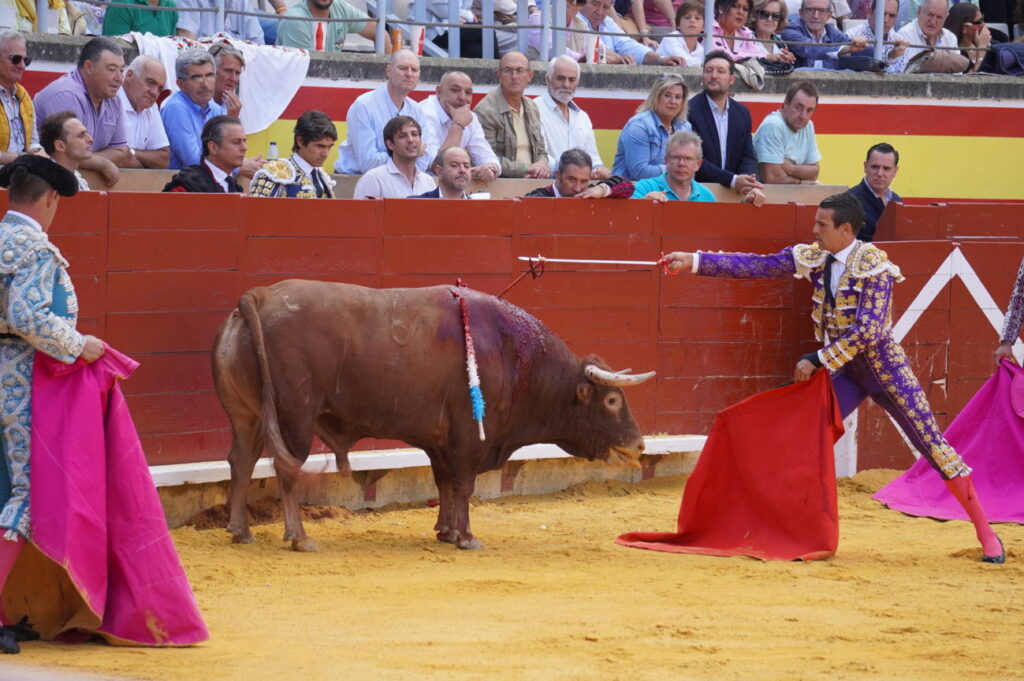 Corrida de Toros Lunes 1 de septiembre - San Antolín 2025. Fotos Sergio Lozano
