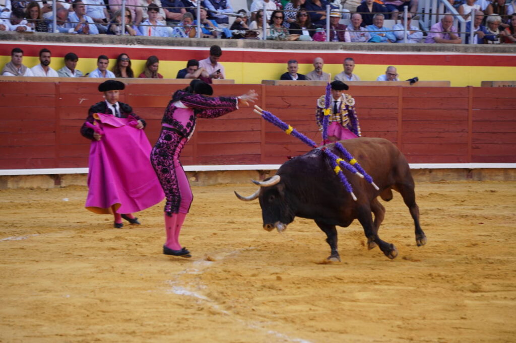 Corrida de Toros Lunes 1 de septiembre - San Antolín 2025. Fotos Sergio Lozano