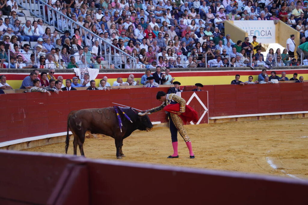 Corrida de Toros Lunes 1 de septiembre - San Antolín 2025. Fotos Sergio Lozano