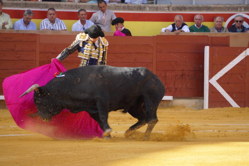 Corrida de Toros Lunes 1 de septiembre - San Antolín 2025. Fotos Sergio Lozano