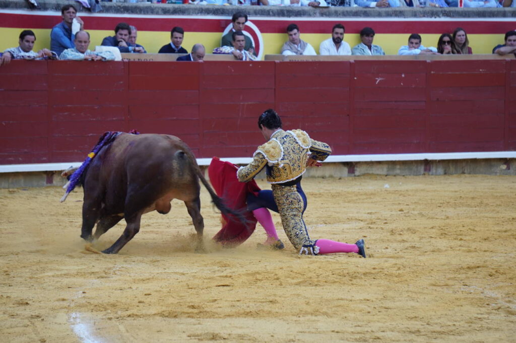 Corrida de Toros Lunes 1 de septiembre - San Antolín 2025. Fotos Sergio Lozano