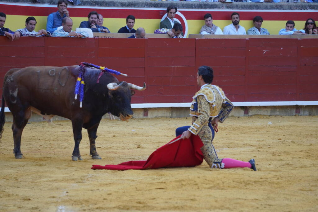 Corrida de Toros Lunes 1 de septiembre - San Antolín 2025. Fotos Sergio Lozano