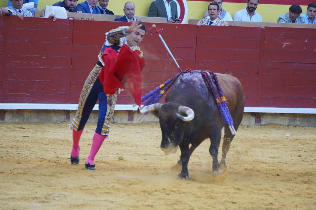 Corrida de Toros Lunes 1 de septiembre - San Antolín 2025. Fotos Sergio Lozano
