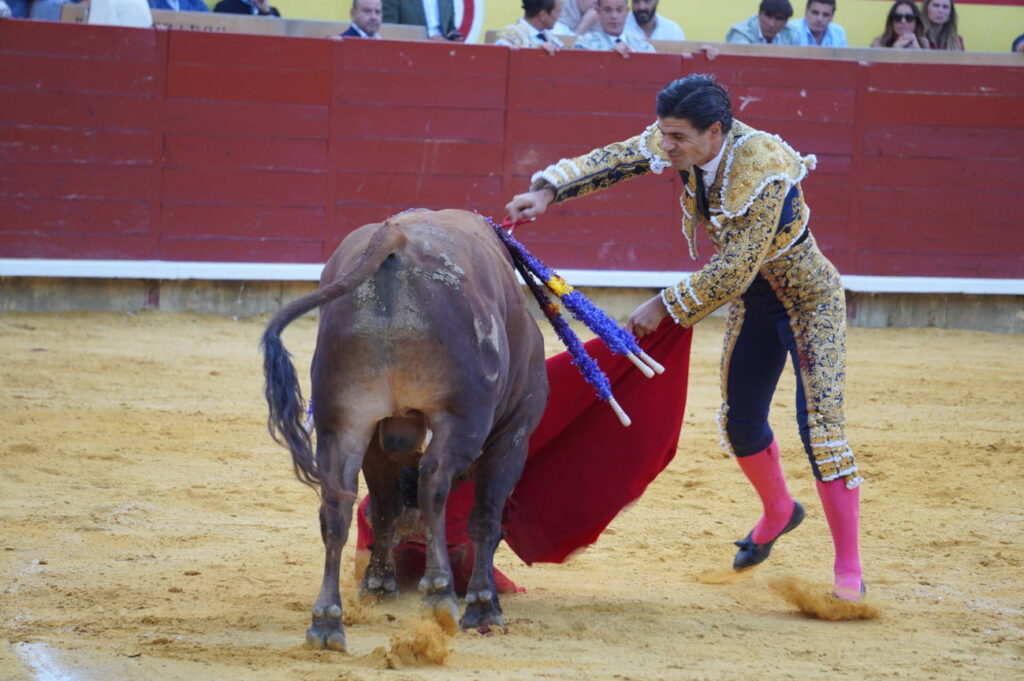 Corrida de Toros Lunes 1 de septiembre - San Antolín 2025. Fotos Sergio Lozano
