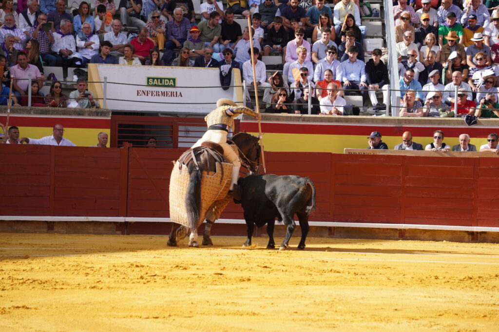 Corrida de Toros Lunes 1 de septiembre - San Antolín 2025. Fotos Sergio Lozano