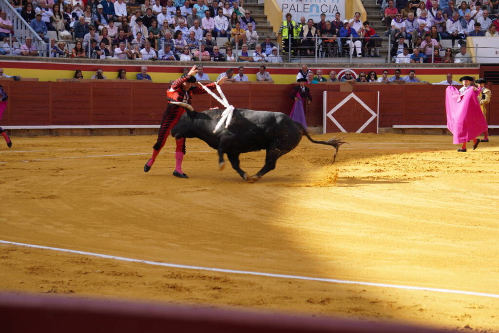 Corrida de Toros Lunes 1 de septiembre - San Antolín 2025. Fotos Sergio Lozano