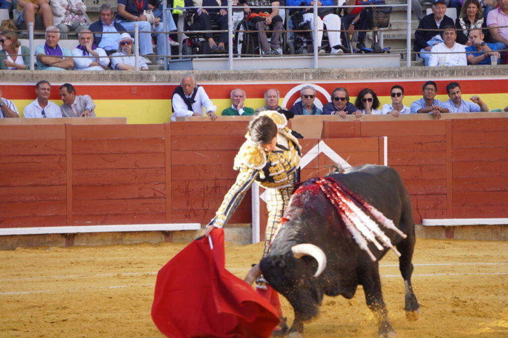 Corrida de Toros Lunes 1 de septiembre - San Antolín 2025. Fotos Sergio Lozano