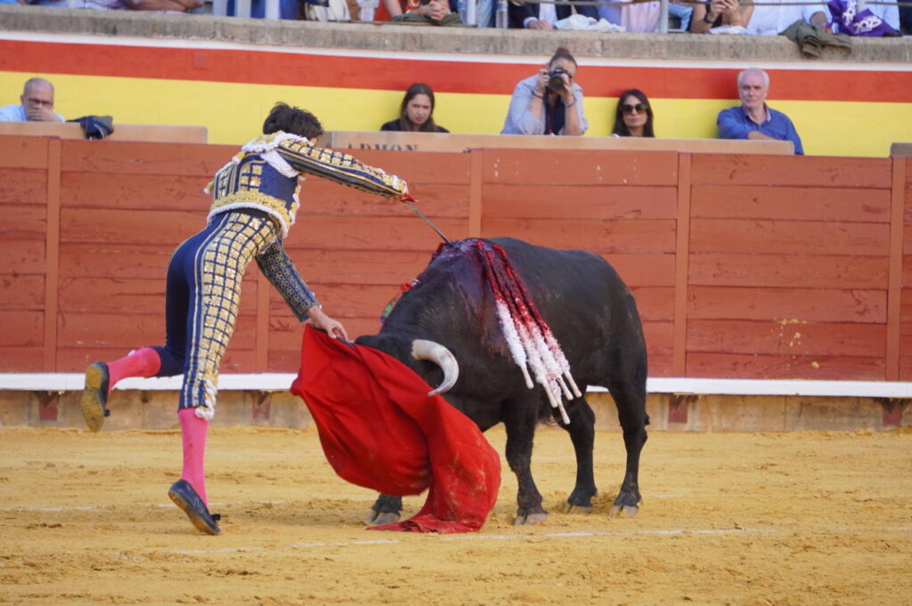 Corrida de Toros Lunes 1 de septiembre - San Antolín 2025. Fotos Sergio Lozano