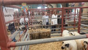 Diputación en Salamaq 2025