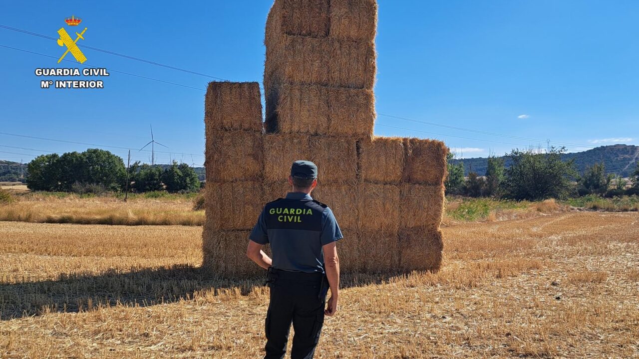 Investigado por sustraer 80 toneladas de paja a un agricultor en Paredes de Nava. Guardia Civil