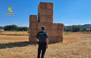 Investigado por sustraer 80 toneladas de paja a un agricultor en Paredes de Nava. Guardia Civil