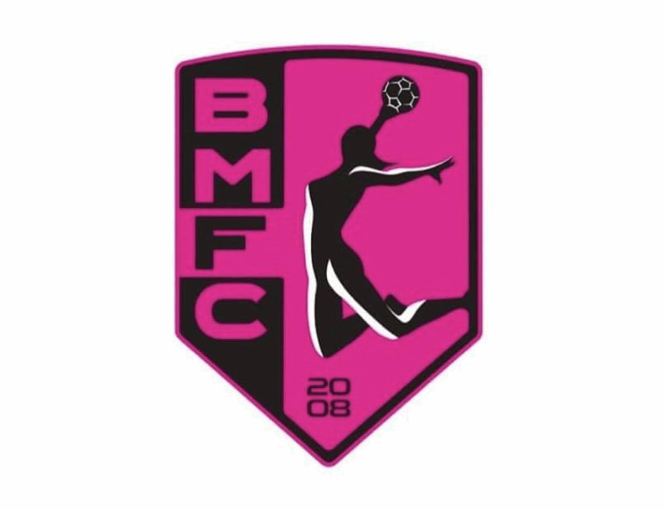 Logo del BM Fuentes Carrionas