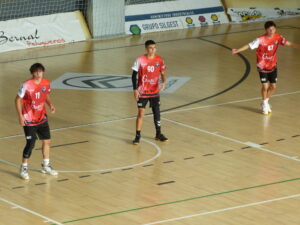 Palausa Balopal, 37 - Odisea Transportes de la Hera, 27