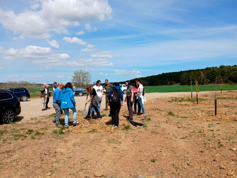 Bosque Modelo Palencia