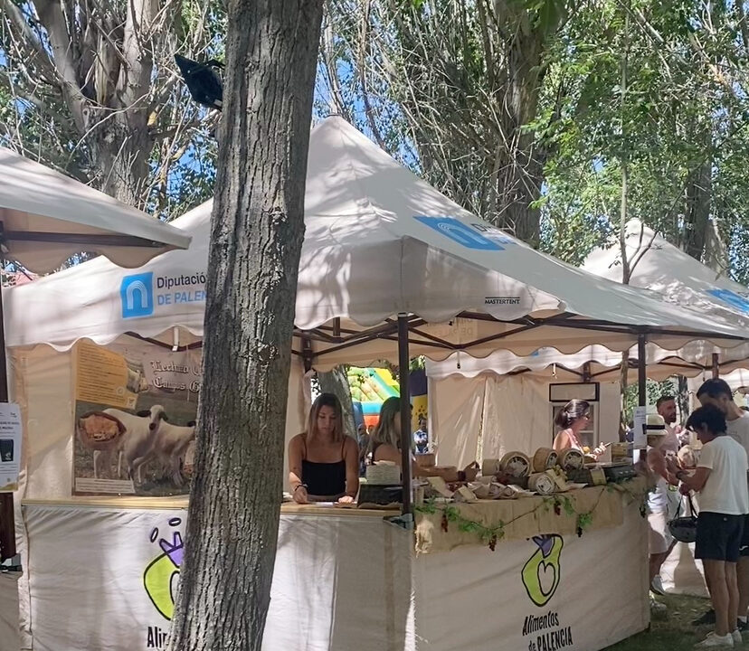 Ferias locales. Diputación de Palencia