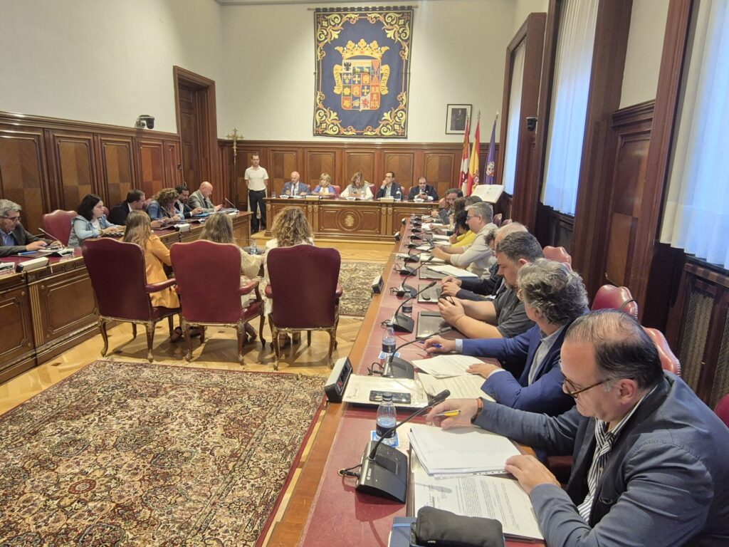 pleno palencia dipu