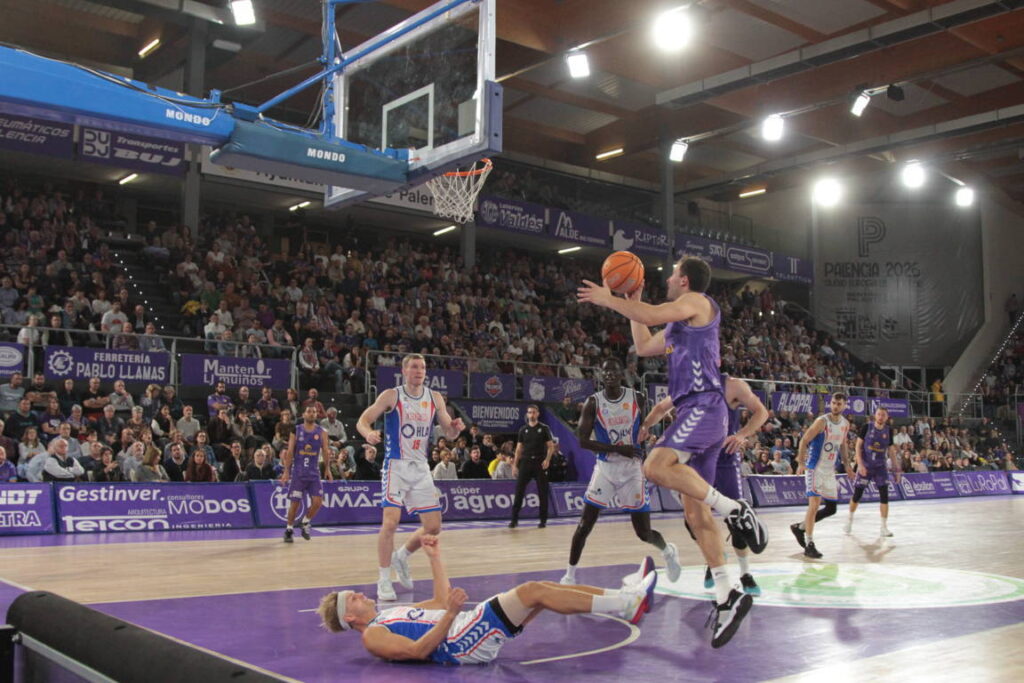Jugadores de baloncesto en acción durante un partido entre Palencia y Alicante.