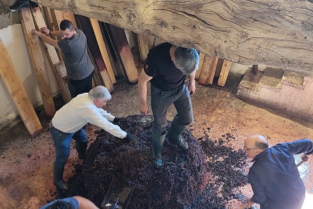 Baltanás celebra el Día de los Lagares