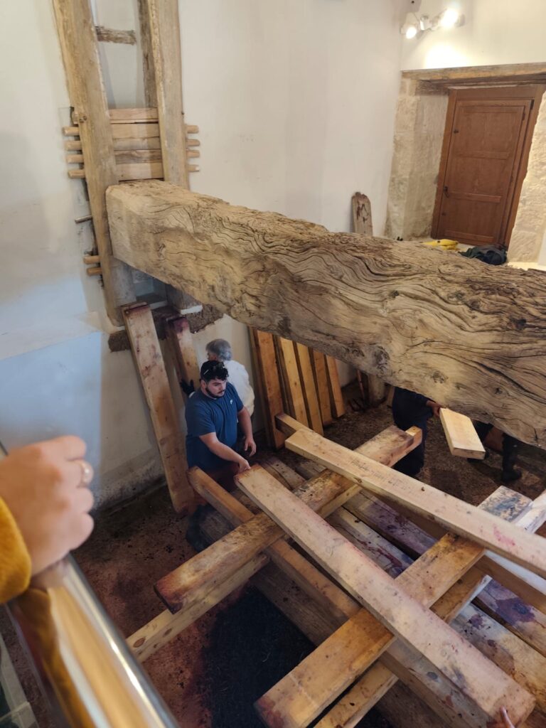 Baltanás celebra el Día de los Lagares