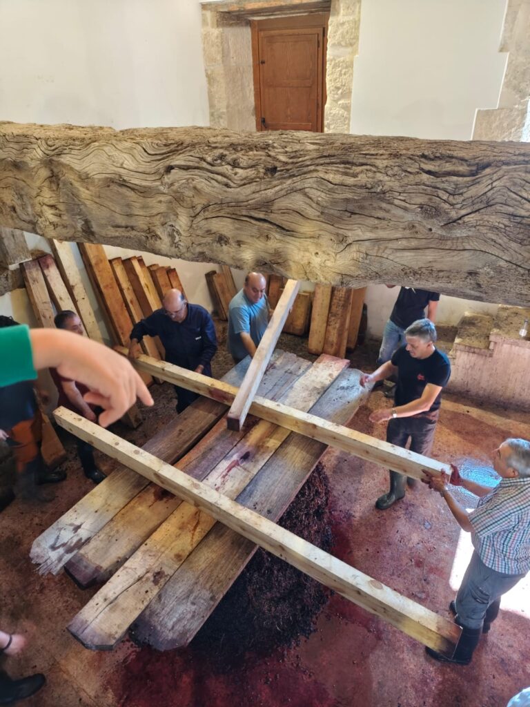 Baltanás celebra el Día de los Lagares