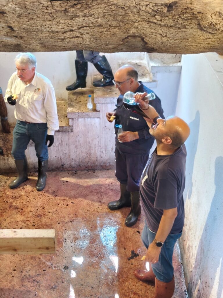 Baltanás celebra el Día de los Lagares