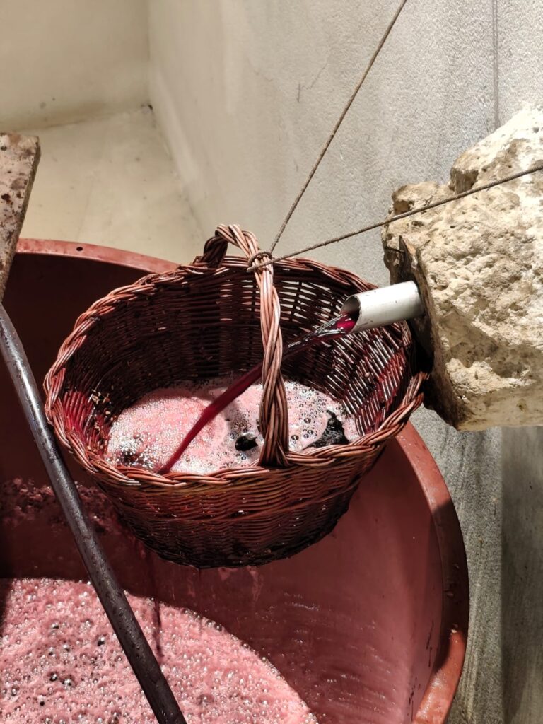 Baltanás celebra el Día de los Lagares