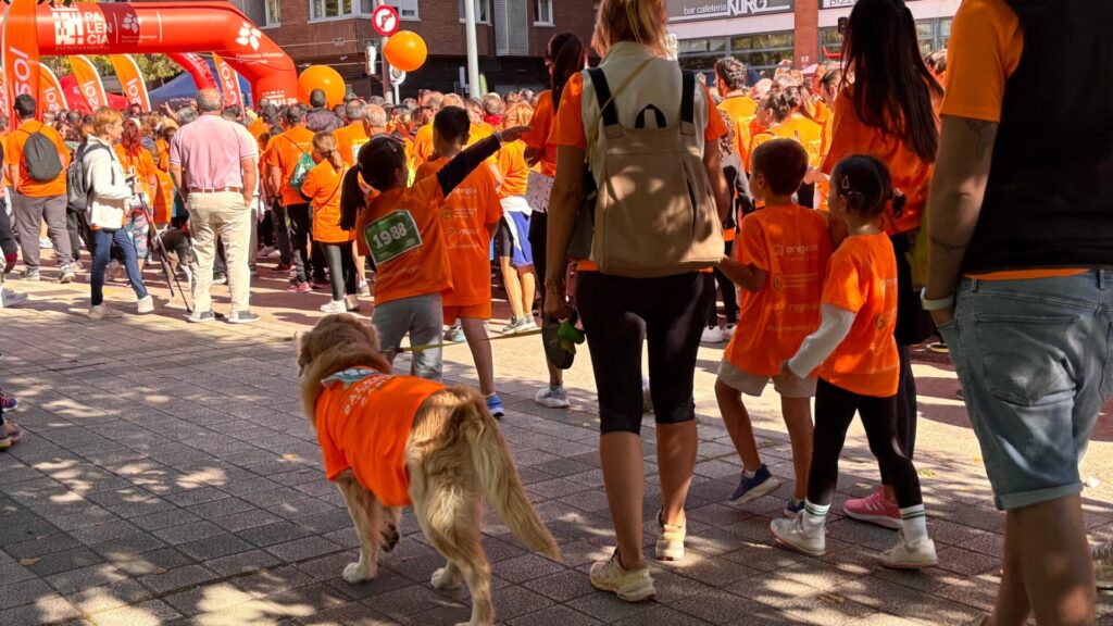 Carrera contra el Cáncer en Palencia 2025. Fotografía: Palencia en la Red