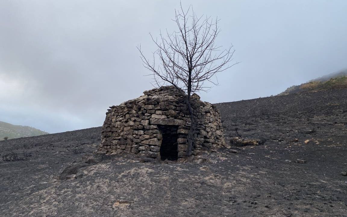 Daños incendio Resoba en Cervera de Pisuerga (4)